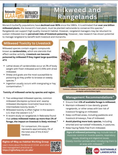 Infographic on milkweed toxicity to livestock, highlighting the decline of monarch butterfly populations and the risks posed by milkweed ingestion. It includes information on the toxicity levels in livestock, management recommendations, and the importance of preserving milkweed for environmental sustainability.